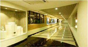 Company Introduction