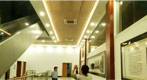 Company Introduction