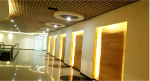 Company Introduction