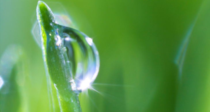 World Longevity Town—Bama