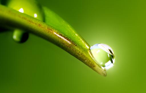 I am a drop of water